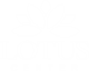 LOTUS CENTER SA